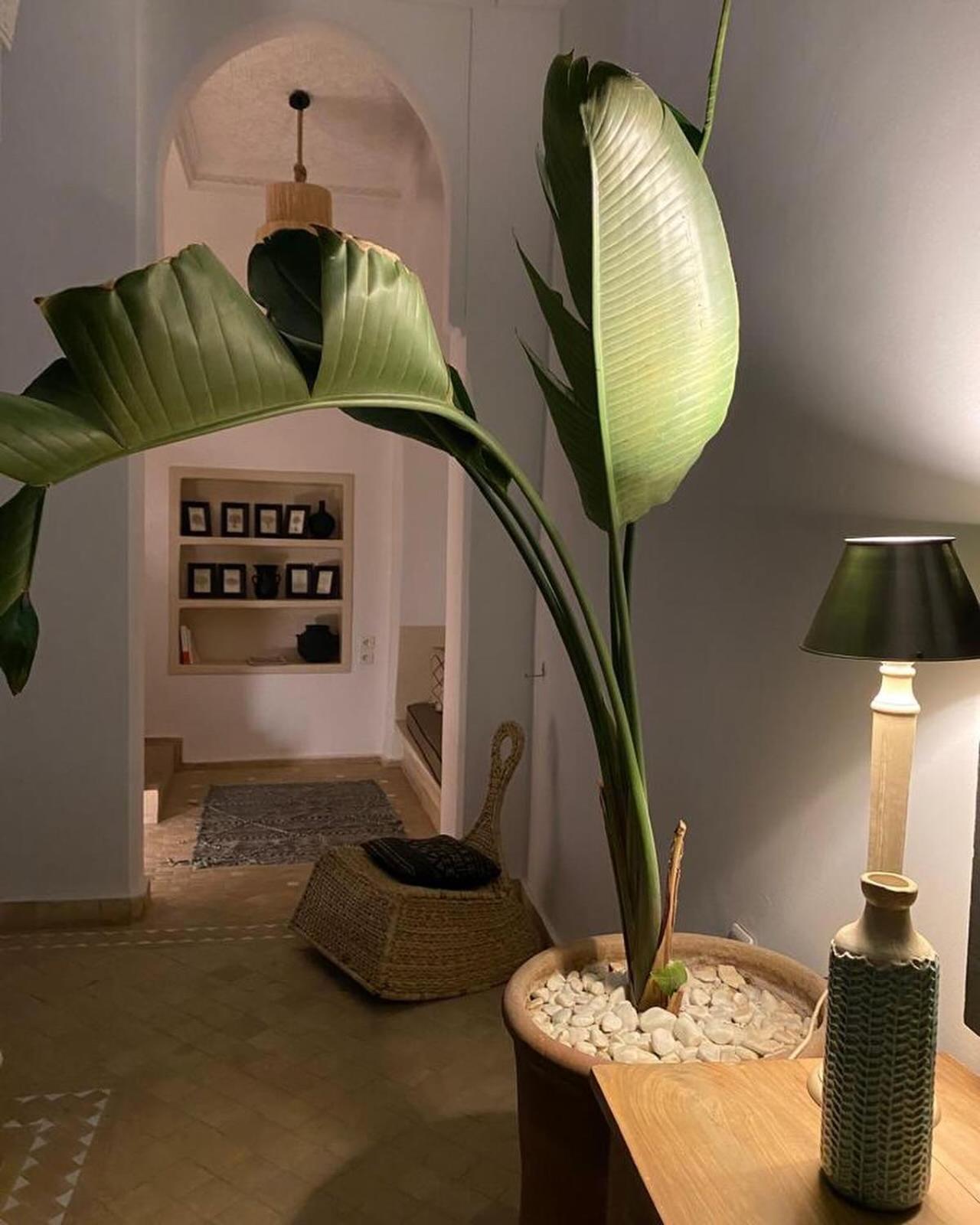 Riad Dar C Marrakesh Exteriör bild